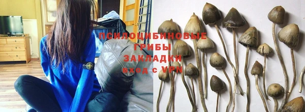 дживик Алексеевка