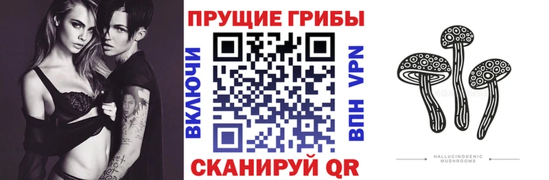 закладки  Сарапул  Галлюциногенные грибы мухоморы 